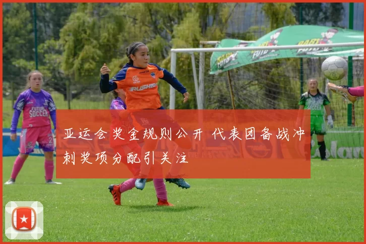 亚运会奖金规则公开 代表团备战冲刺奖项分配引关注