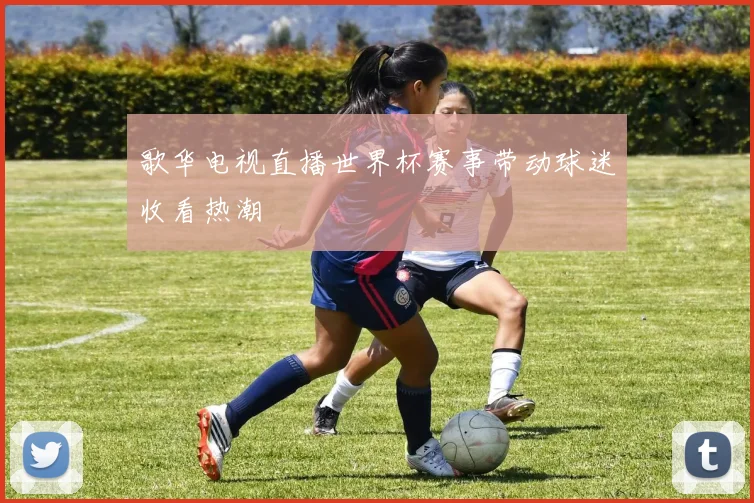 歌华电视直播世界杯赛事带动球迷收看热潮