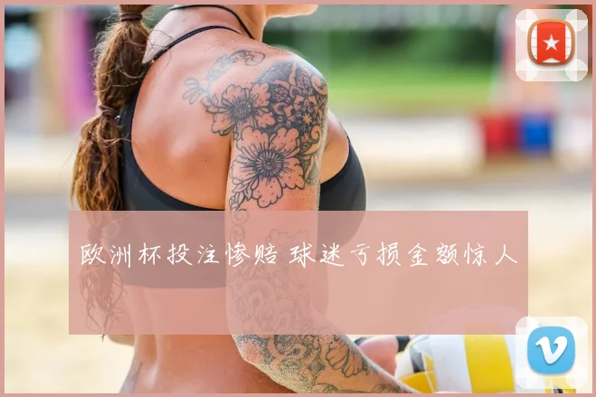 欧洲杯投注惨赔 球迷亏损金额惊人